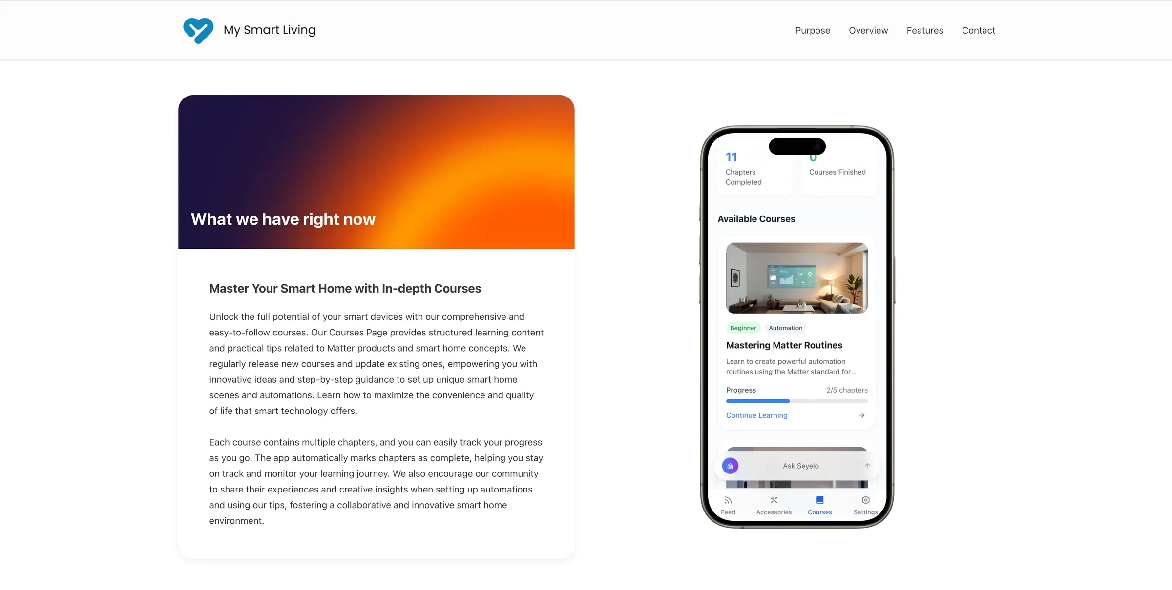 Seyelo landing page section on in-app courses